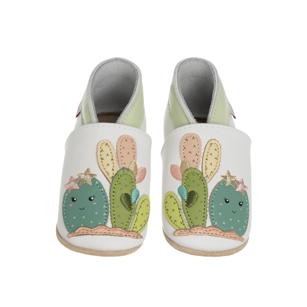Pantofoline cactus