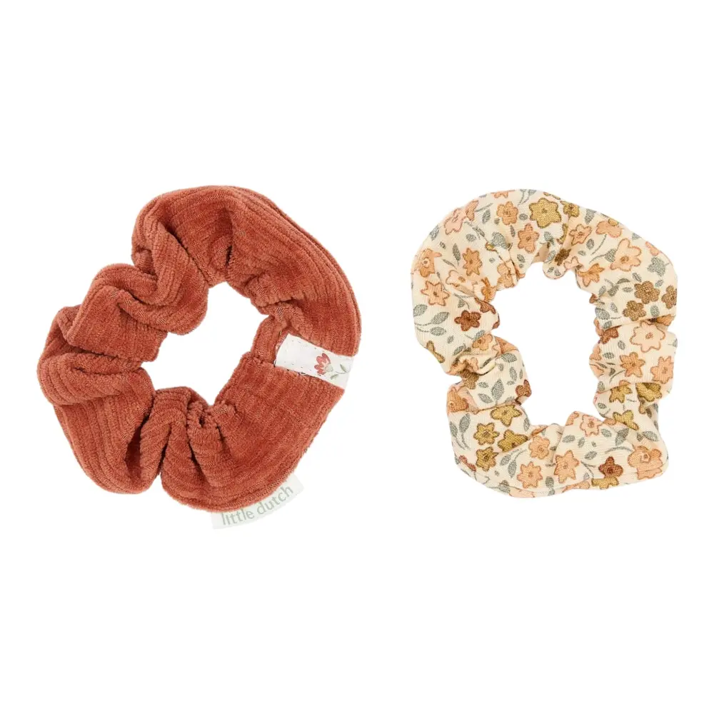 Coppia elastici capelli